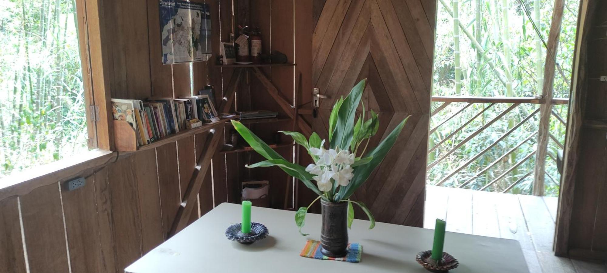 Rumi Wilco Ecolodge & Nature Reserve-Cabanas & Camping Vilcabamba Luaran gambar